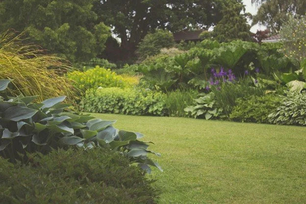 Effortless Excellence_ How to Create an Award-Winning Yard This Summer with a Packed Schedule