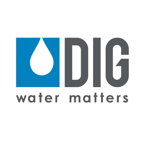 Dig