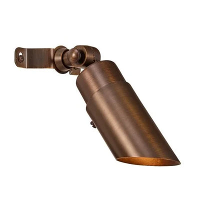 Alliance DL200-BT Down Light w/ Color Changing LED - Brass