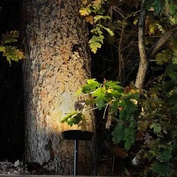 DEKOR 20RADLL LED Directional Spot Light - 20 Inch