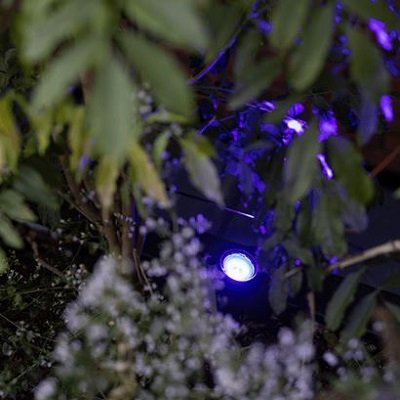In-Lite 10401050 Scope Tone Up Light w/ 6W RGB LED - Black