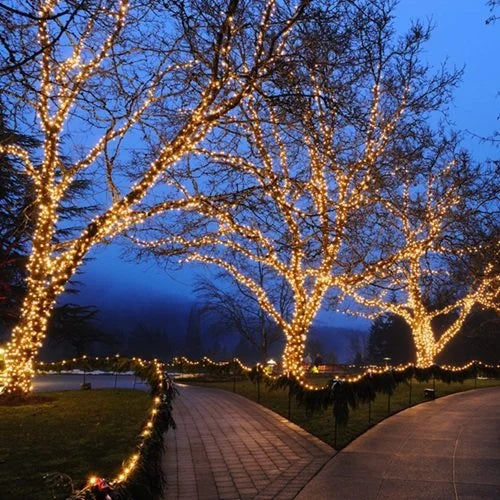 Lightcraft LED-MSL-AC String Light w/ Power End - 33 Ft. Roll
